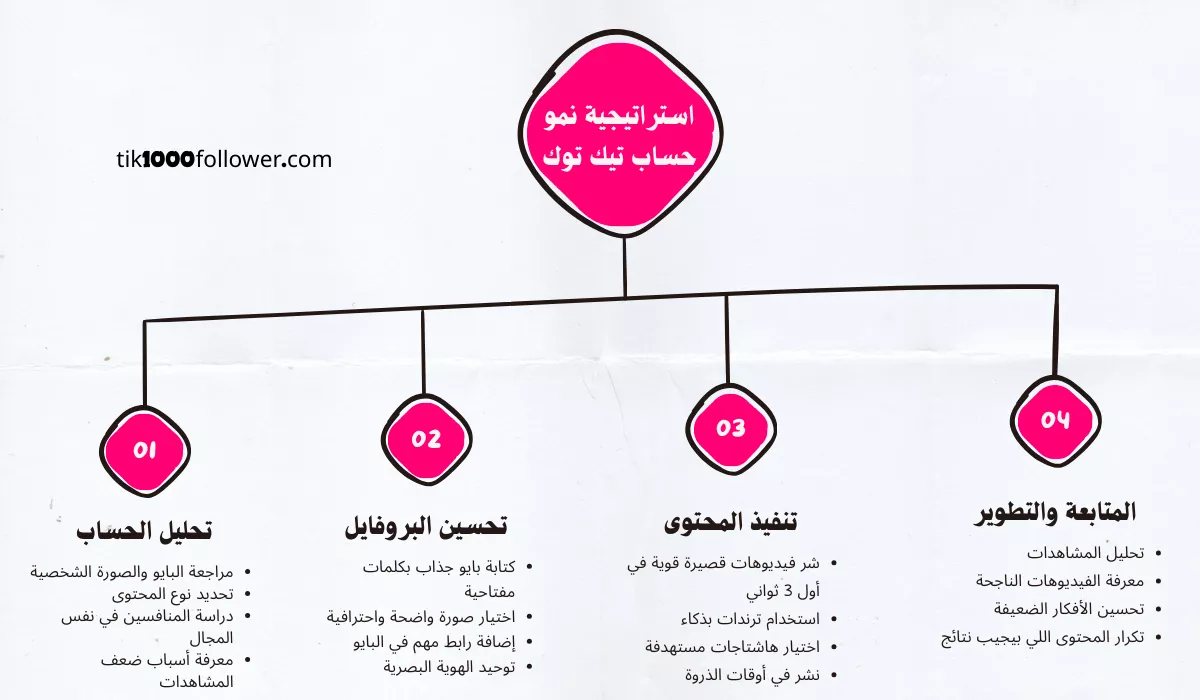 استراتيجية النجاح